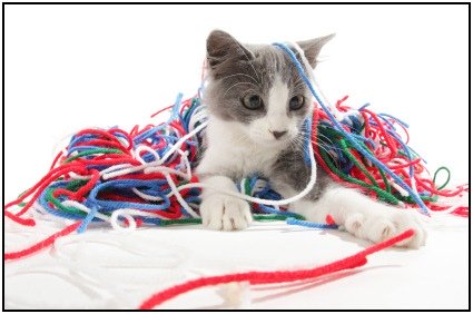 You won't need much workout motivation to play with yarn. Just make sure it doesn't get you!